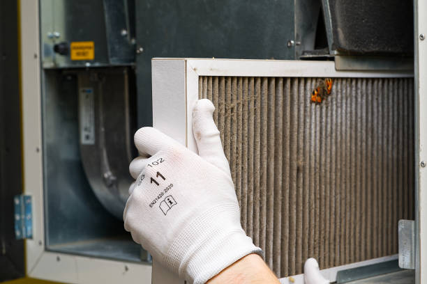 Best Dryer Vent Cleaning Services  in Clemson, SC