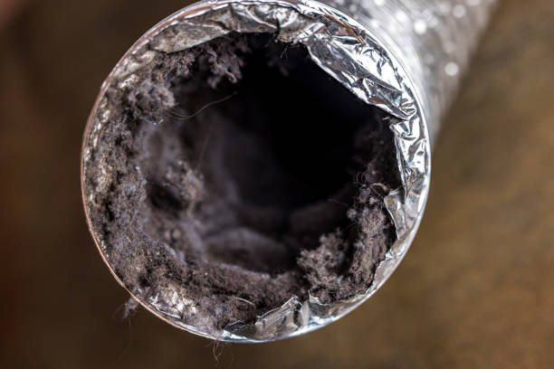  Clemson, SC Airduct Cleaning Pros