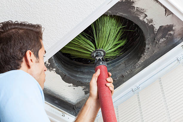 Best Air Duct Cleaning Company Near Me  in Clemson, SC