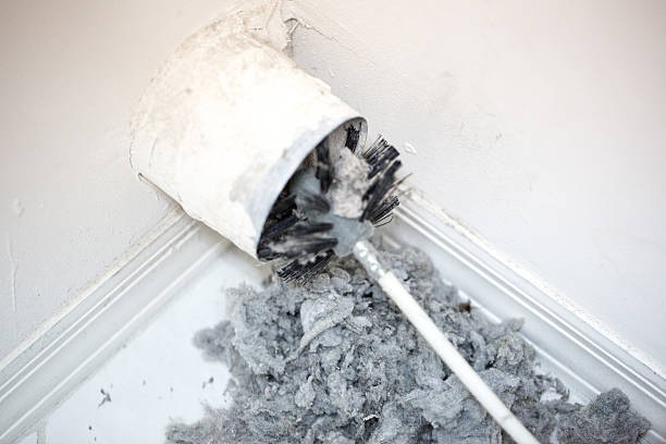 Best Residential Air Duct Cleaning  in Clemson, SC